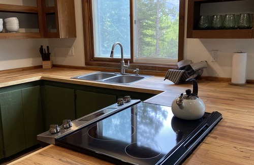 Carbondale Cabin | Quiet Cabin in the Pines