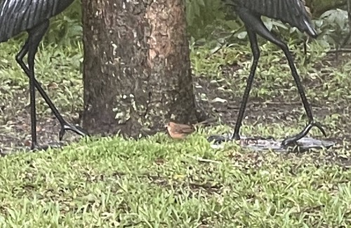 Jacksonville Apartment | Quiet comfortable suite with ensuite bathroom and work space