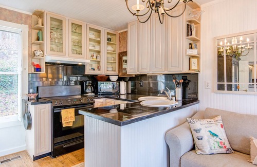Otto Cottage | Quiet Secluded,Mountain view Cabin w/4 Private Falls & Trails!
