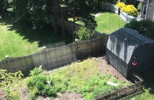 Greenwich Apartment | Quiet Sunny 1 Bedroom Downtown Greenwich, Connecticut