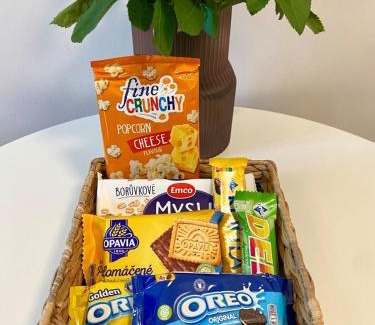 Dejvice Apartment | Quiet Warm studio, 5 min to Metro A, airport link, fast Wi-Fi