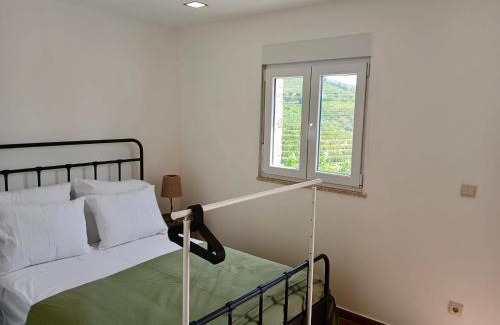 Santa Marta de Penaguiao House | Quinta Da Batoca
