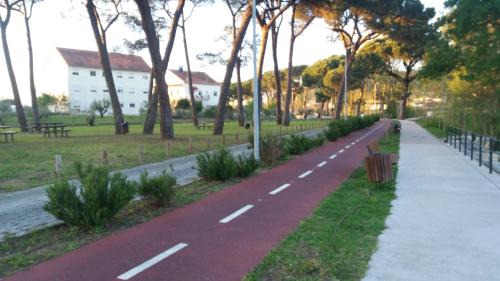 Pombal House | Quinta da Casinha Homestay