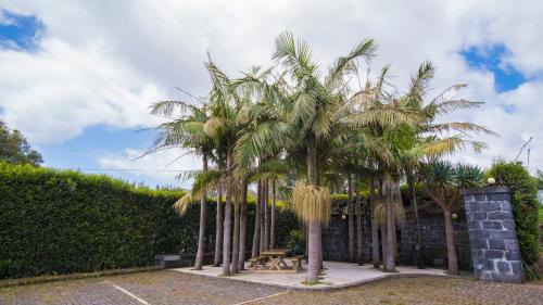 Horta Apartment | Quinta do Torcaz
