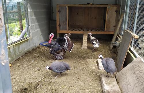 Gondufe House | Quinta Souto Chão