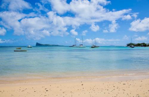 Bain Boeuf House | Résidence du Récif - Le Perroquet