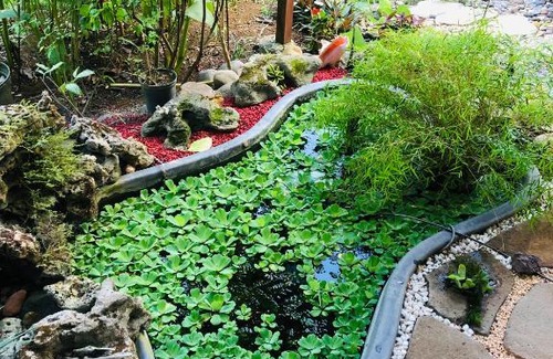 Deshaies House | Rêves de mer