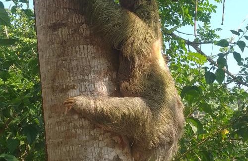 Dos Brazos House | Ríos de agua Viva