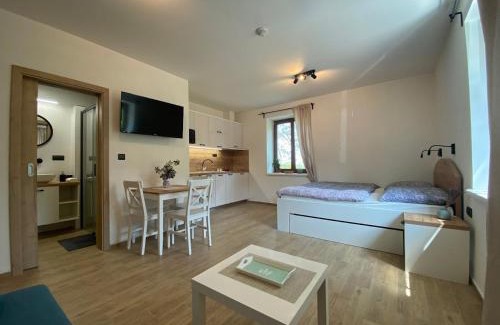 Hranice Apartment | Růžičkův dvůr