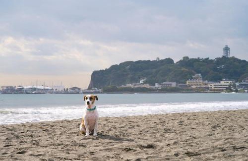 Koshigoe Apartment | R.Kamakura