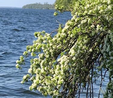 Raben Steinfeld Apartment | Raben Steinfeld Forststrasse Am Residence-Park