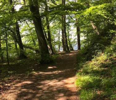 Raben Steinfeld Apartment | Raben Steinfeld Forststrasse Am Residence-Park