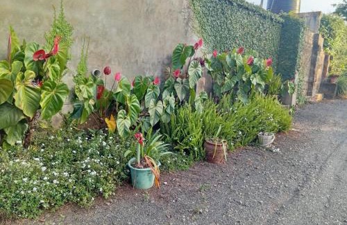 Meru House | Rachel's Garden