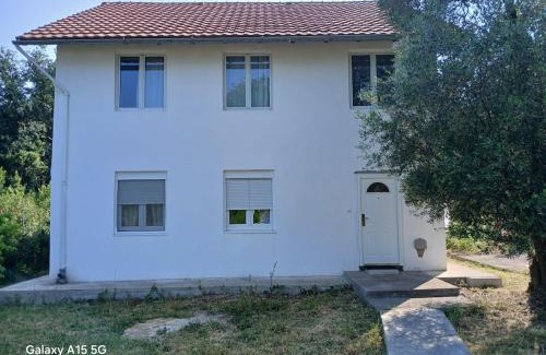 Radovici House | Radovici Family House