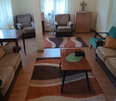 Radovici House | Radovici Family House