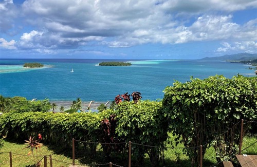 Uturoa Apartment | RAIATEA - Bungalow Apetahi 4