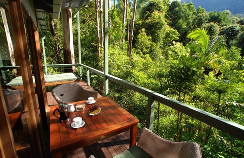Upper Crystal Creek House | Rainforest Canopy Bungalow-Booyong