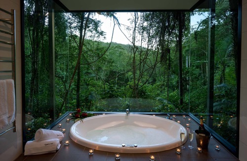 Upper Crystal Creek House | Rainforest Canopy Bungalow-Booyong
