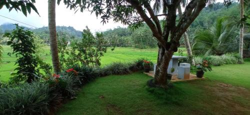 Kotapola Hotel | Rainforest Nest