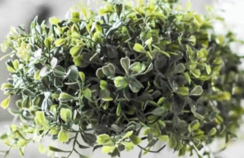 Riverside Apartment | Raintree 1: 1 Bedroom Garden View Home with Everything set up for 4!