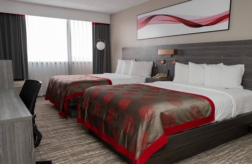 Cedar Rapids - Iowa City Hotel | Ramada by Wyndham Cedar Rapids