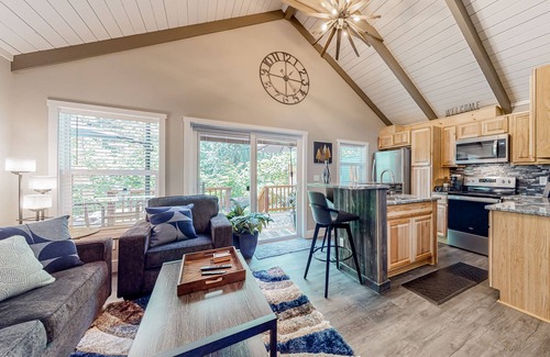 Mason County House | Rare, dog-friendly riverfront retreat with hot tub access plus kayaks & AC