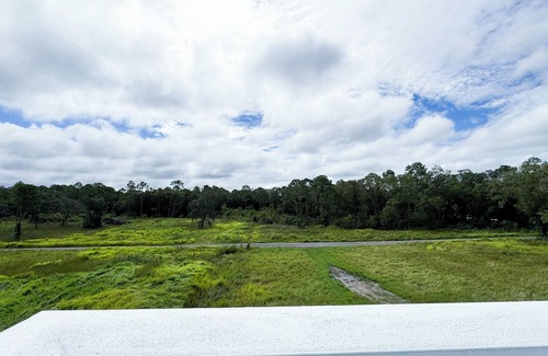 Citrus Park House | Rare Luxury 4-bedroom house in charming Tampa with WiFi, AC