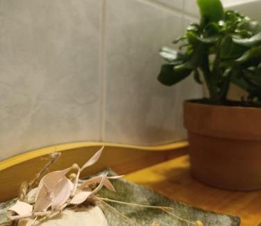 Gifhorn Hotel | RATSSCHÄNKE Südheide