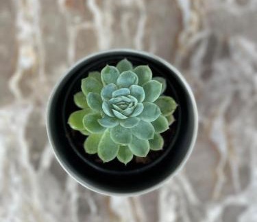 Dullstroom House | Rattlesnake Weir