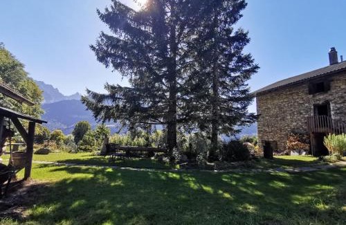Reichenbach Apartment | Rauft-Perfekter Rückzugsort für besondere Feierlichkeiten 2500 m2 Grundstück mitten in der Natur