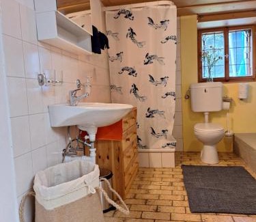 Reichenbach Apartment | Rauft-Perfekter Rückzugsort für besondere Feierlichkeiten 2500 m2 Grundstück mitten in der Natur
