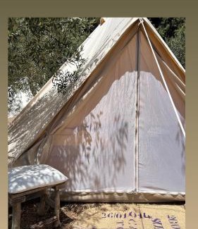 Avola Other | Raw sicily 11