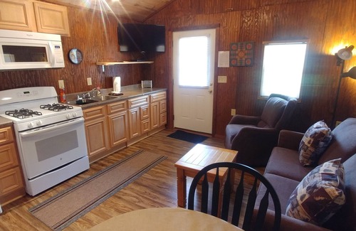 Dandridge Cabin | Red Top Cabin within walking distance of Douglas Lake