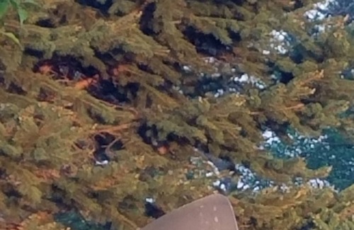 Clayton Cabin | Redbird Ridge Cabin with View