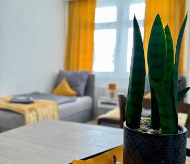 Magdeburg House | Reform
