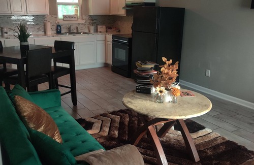 Mid City North Apartment | Refreshing & Snuggly 1bedroom w/free parking 10 mins from downtown and lsu