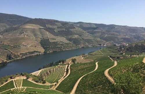 Tabuaco House | Refugio d'Anita Douro Valley House