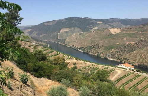 Tabuaco House | Refugio d'Anita Douro Valley House