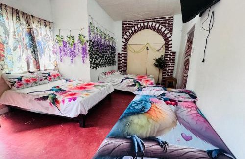 Playa Chachalacas Hotel | Refugio de las Aves