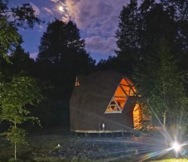 Llifen Apartment | Refugios del Ranco