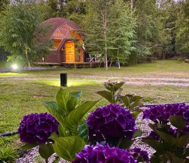 Llifen Apartment | Refugios del Ranco