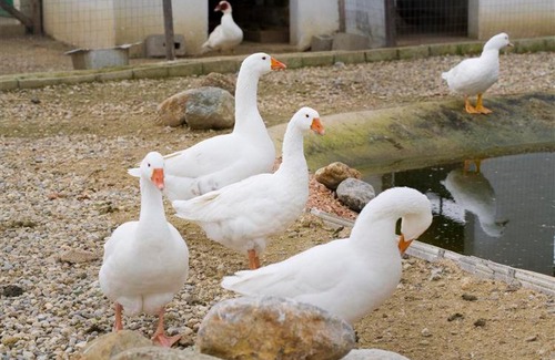 Corigliano-Rossano House | Relais Il Mulino