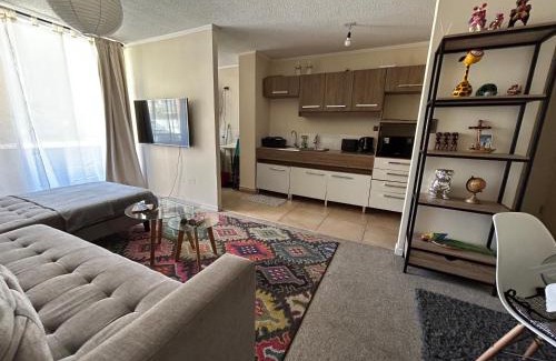 Chillan Apartment | Relajo y descanso en Chillán