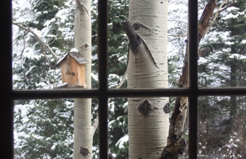 Divide Cottage | Relax and Unwind at the most relaxing place in Colorado.