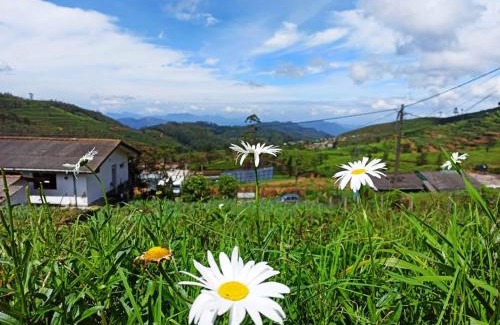Nuwara Eliya Apartment | Relax Apartment Toppass