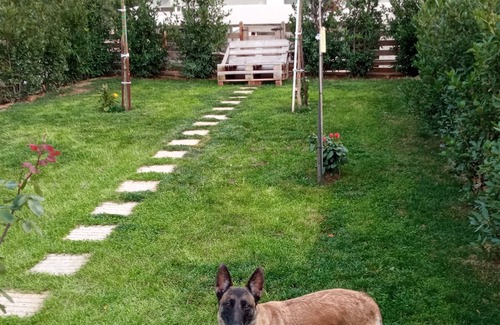 Saronikos Cabin | Relaxing House close to beach