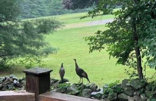 Sherman House | Relaxing summer getaway with sunset views near lake