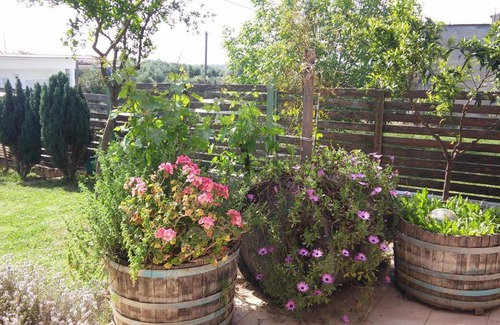 Messini House | Relaxing Vila at Avramio village