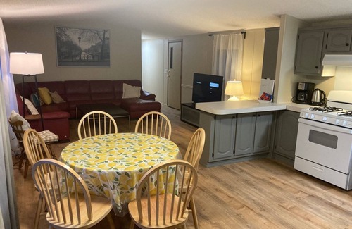 Necedah House | Remodeled cabin close to Castle Rock and Petenwell Lake, w/firepit, pet friendly