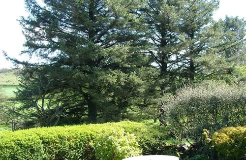 Goodwick House | Remote Peaceful Cottage. Great for families. Panoramic Views & Skies. Fresh Air.